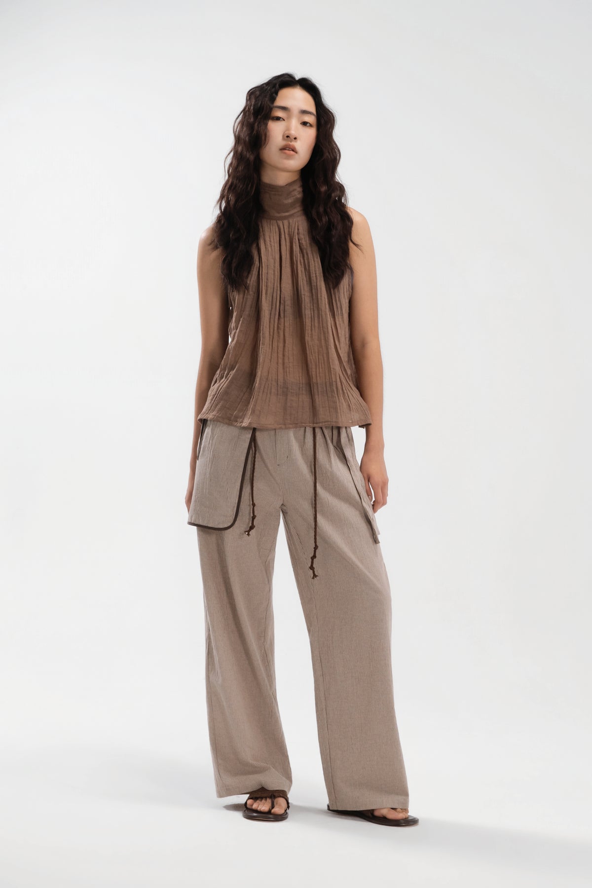 Sheer Pleated High Neck Scarf Top (Brown)