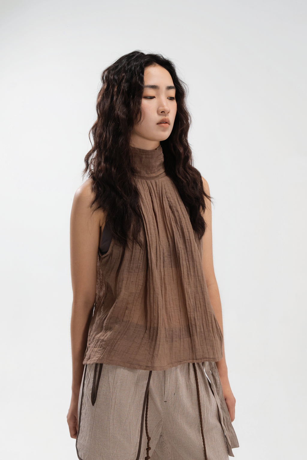 Sheer Pleated High Neck Scarf Top (Brown)