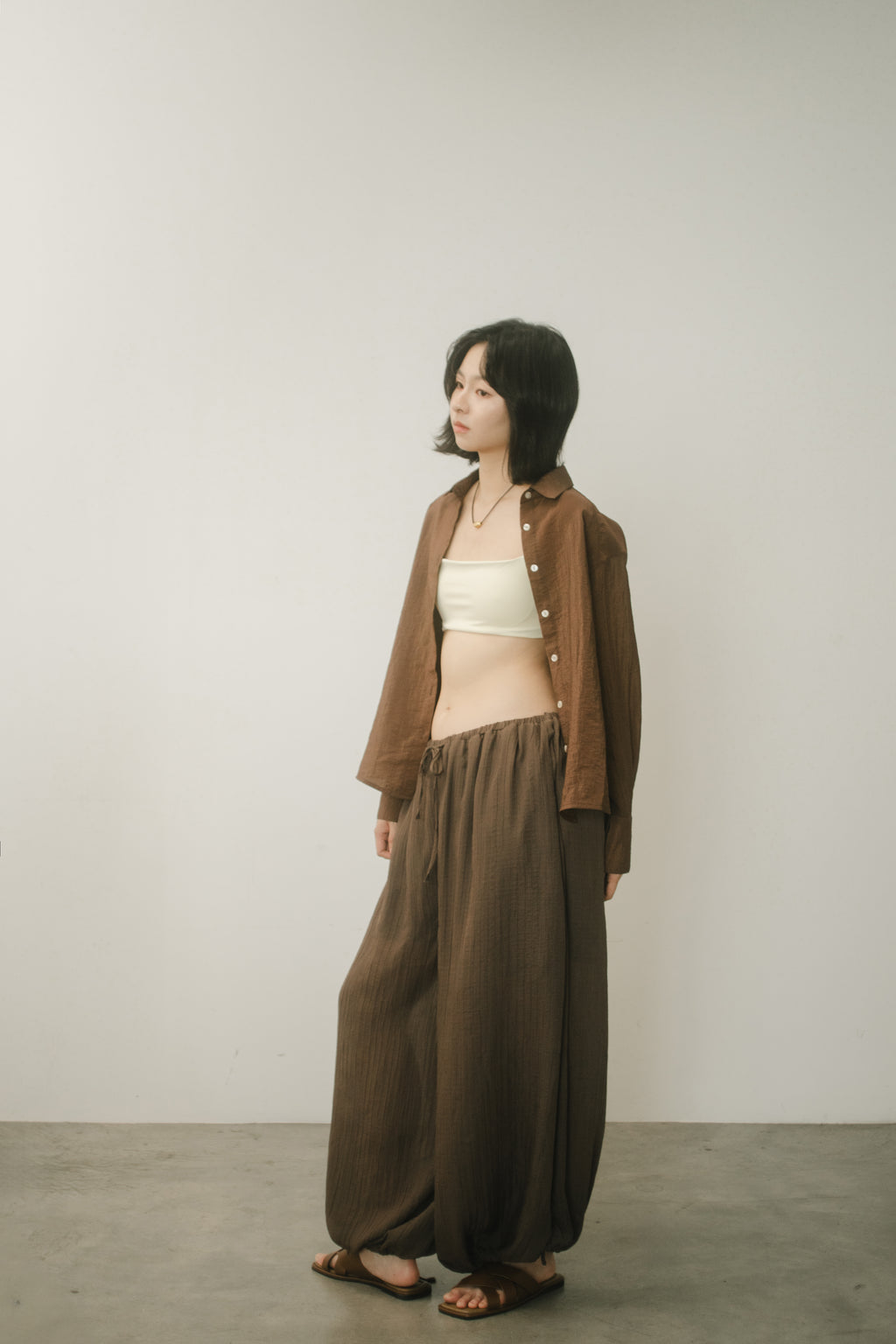 WES x GUNG x SO | Easy Shimmer U-Hem Blouse (Brown)